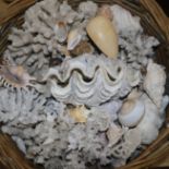 A basket of shells