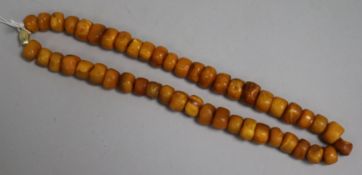 A single strand amber bead necklace, gross 72 grams, 48cm.