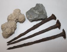 Three ancient iron nails, geo... and an ammonite fossil (6)