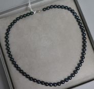 A 1980's single strand cultured Tahitian pearl necklace with 9ct white gold clasp, 44cm.