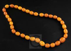 A single strand graduated oval amber bead necklace, with clasp, gross weight 59 grams, 56cm.