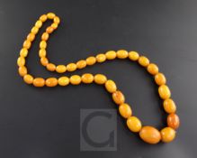 A single strand graduated oval amber bead necklace, gross 119 grams, 32in.