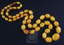 A single strand graduated oval amber bead necklace, gross 80 grams, 86cm.