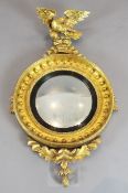 A Regency giltwood and gesso convex wall mirror, with eagle crest, H.3ft W.1ft 10in.