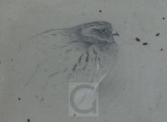 Archibald Thorburn (1860-1935)pencil heightened with whiteGrey Partridgeinitialled5 x 6.5in.