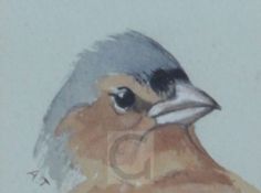 Archibald Thorburn (1860-1935)pencil and watercolourHead of a Cock Chaffinchinitialled1.75 x 2.