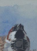 Archibald Thorburn (1860-1935)watercolour and gouacheHouse Sparrowinitialled3 x 2.25in.