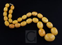 A single strand graduated oval amber bead necklace, with gilt metal barrel clasp, gross weight 86