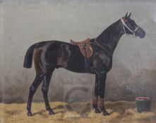 Emil Volkers (1831-1905)oil on canvasRacehorse in a stablesigned and dated 18979.5 x 11.5in.