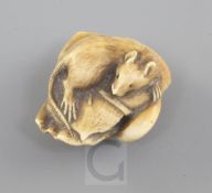 A Japanese ivory netsuke, 19th century, modelled as a rat on a folded over leaf with an octopus'