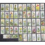 Four folio albums of cigarette cards on various themes, wild flowers, garden flowers, butterflies,