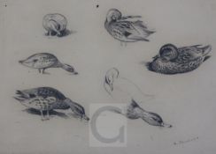 Archibald Thorburn (1860-1935)pencil drawingGarganes and Gatwallsigned7 x 10.25in.