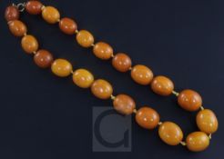 A single strand amber bead necklace, with gilt metal clasp, gross weight 67 grams, 18in.