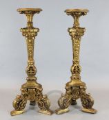 A pair of late 17th century giltwood and gesso torcheres, with triangular stems and scroll and