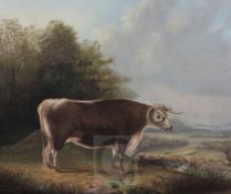 George Gregory (19th C.)oil on canvasLouke, 5yrs old - a naive study of a bullsigned and dated