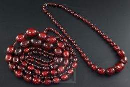 Two single strand red simulated amber bead necklaces, largest 158cm.