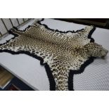 A taxidermic leopard skin rug, with label 'Vaningen & Vaningen Mysore', L.260cm