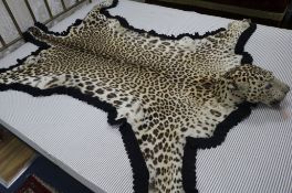 A taxidermic leopard skin rug, with label 'Vaningen & Vaningen Mysore', L.260cm