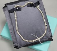 A Tiffany & Co single strand cultured pearl necklace with sterling silver clasp and Tiffany box