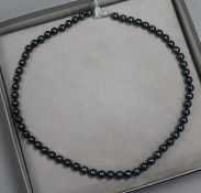 A 1980's single strand cultured Tahitian pearl necklace with 9ct white gold clasp, 44cm.