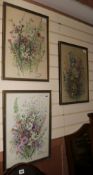 E. M. Dixon (20th century)3 watercoloursBotanical studies, each signed and inscribed 'Australia