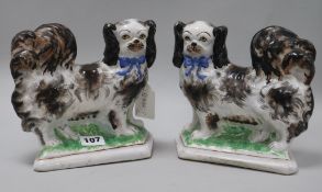 A pair of 20th century Staffordshire figure of Pekinese dogs