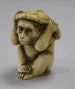 An ivory monkey netsuke