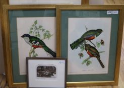 Graham Clarke, 'Yeomans', signed artist's proof and two pairs of framed botanical prints