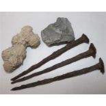 Three ancient iron nails, geo... and an ammonite fossil (6)