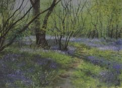 Andrew DandridgewatercolourBluebell Woodsigned28 x 38cm