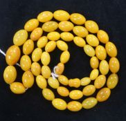 A single strand graduated oval amber bead necklace, gross 36 grams, 70cm.