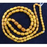 A single strand graduated barrel shape amber bead necklace, gross 29 grams, 86cm.