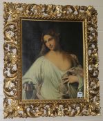 Italian Schooloil on canvasYoung woman picking flowers59 x 47cm. Florentine framed.
