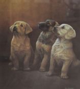 Two Nigel Hemming limited edition prints of Labradors Guiding Lights & Yellow Labradors, and a David