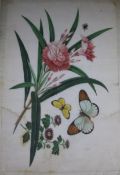 A Chinese School painting on pith paper of butterflies and flowers 30.5 x 21cm.