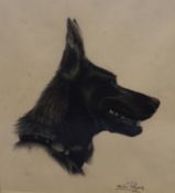 Otto Josef Potuznikcharcoal drawing,Head of an Alsatian,signed,10.5 x 10.5in.