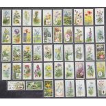 Four folio albums of cigarette cards on various themes, wild flowers, garden flowers, butterflies,