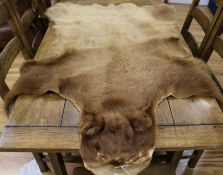 A bear skin