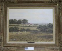 David Morganoil on canvasCorner of a fieldsigned13 x 16ins