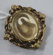 A Victorian yellow metal mourning brooch, with scroll border and hair beneath a glazed panel, 65mm.