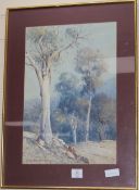 William Lister ListerwatercolourGum treessigned52 x 35cm.