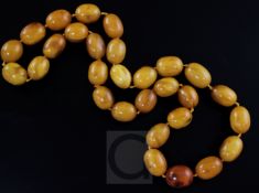 A single strand amber bead necklace, gross weight 149 grams, 76cm.