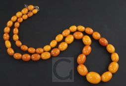 A single strand graduated oval amber bead necklace, gross weight 56 grams, 67cm.