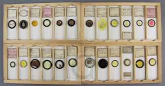 Two cases of late 19th/early 20th century microscope slides, each containing 6 trays of