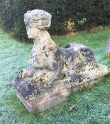 A pair of reconstituted stone models of sphinx, on rectangular plinths, the bases 3ft 10in. x 1ft