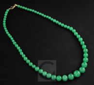 A single strand graduated jadeite bead necklace, with gilt metal clasp, 51cm.