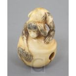 A Japanese ivory netsuke, carved with a monkey crouching on a bell, late 19th/early 20th century