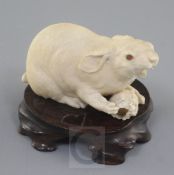 A good Japanese ivory okimono of a hare, Meiji period, modelled gnawing away at a nut, with amber
