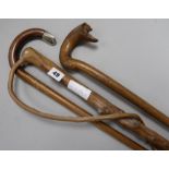 Three wooden canes including silver top