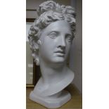 A plaster bust of Apollo